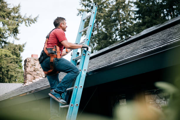 Best Solar Panel Roofing Installation  in Forest Hill, TX